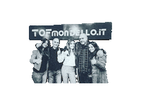 tofmondello tof tofm tofmondel tofmondell Sticker