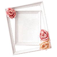 fashion moda Sticker by Grupo Tavares