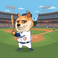 Shiba Inu Dog GIF by Doge Pound
