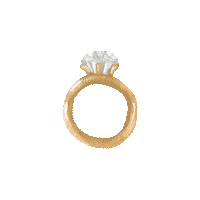 tmodernbride love wedding marriage ring Sticker