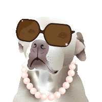 GreenDogGraphicDesign greendoggraphicdesign custompetportrait idriselbows apurposefulrescue Sticker