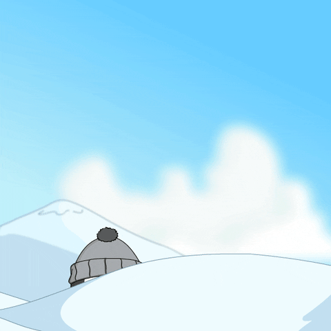 Whats Up Hello GIF by Pudgy Penguins