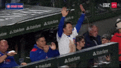 Celebrate Hands Up GIF by MLB