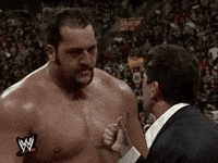 big show wrestling GIF by WWE