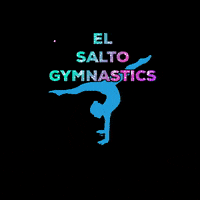 Elsalto competicion elsaltogym GIF
