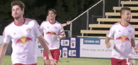 celebration GIF by NYRB II