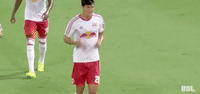 celebration GIF by NYRB II