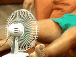 Video gif. The video starts with a closeup on a fan aimed between a man's legs. It slowly zooms out and we see a shirtless man trying to beat the heat by blowing cool air up his billowy short shorts. 
