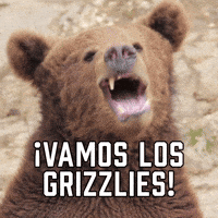 ¡Vamos Los Grizzlies!