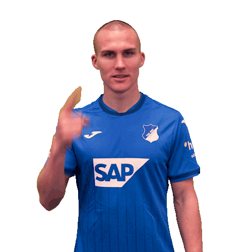 Sport Bundesliga Sticker by TSG Hoffenheim