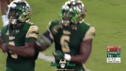 South Florida Celebration GIF by SoFloBulls