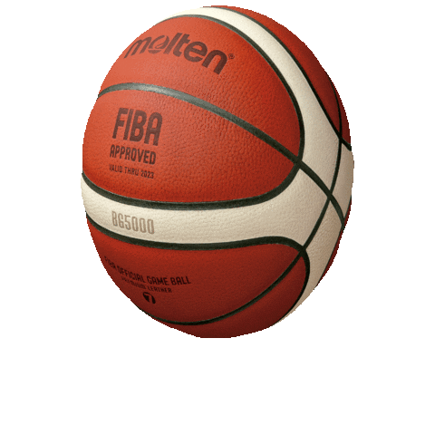 Basketball Basket Sticker by Molten México