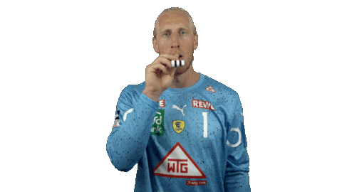 Handball-Bundesliga Party Sticker by LIQUI MOLY HBL