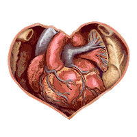 ABWomensHealth heart international womens day iwd womens health Sticker