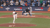 Blue Jays Baseball GIF by Toronto Blue Jays