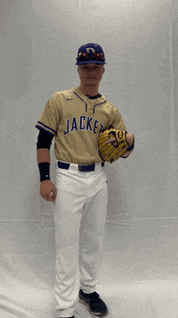 Defibsb GIF by DefianceCollegeAthletics