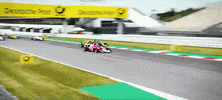 GIF by W Series