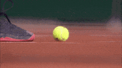 French Open Ball GIF by Roland-Garros