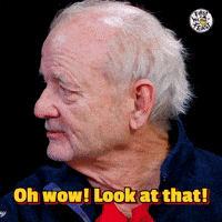 Bill Murray Wow GIF by First We Feast