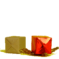 Christmas Holiday Sticker by erma fiend