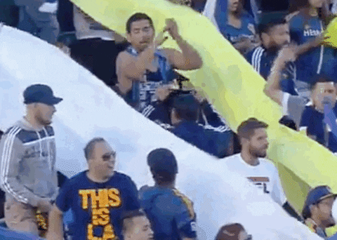 baggio husidic dancing GIF by LA Galaxy