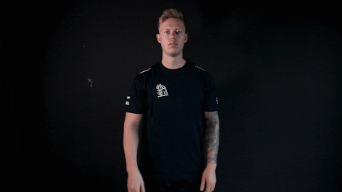 See Ya Vikings GIF by Lyngby eSport