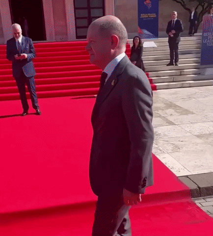 bsagt confused politics red carpet scholz GIF