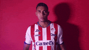 Sanluis Adsl GIF by Atlético de San Luis