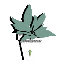 spring swipe up Sticker