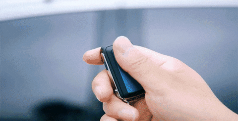 bolynguyn giphyupload GIF