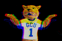 GeorgianCourt roary gcu georgian court university georgian court GIF