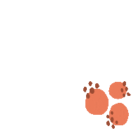 Self Awareness Orange Sticker by Discover Freedom