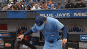 Blue Jays Baseball GIF by Toronto Blue Jays