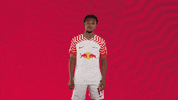 Oh Yeah Football GIF by RB Leipzig