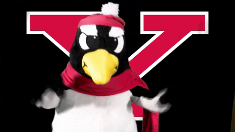 horizonleague giphygifmaker youngstown state youngstown state mascot 2 GIF