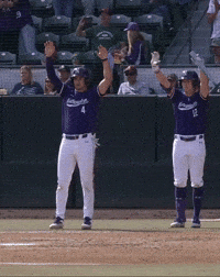 College Baseball Nu GIF by Northwestern Athletics