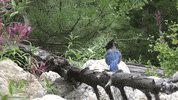 Colorado GIF by 50statesproject