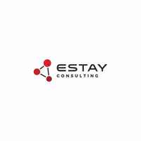 estayconsulting  GIF