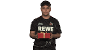 Happy Christmas Tree Sticker by Bundesliga