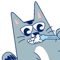 Happy Cat Sticker by Sensodyne