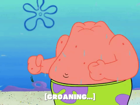 season 6 GIF by SpongeBob SquarePants