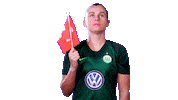 proud champions league Sticker by VfL Wolfsburg