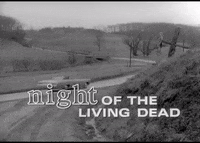 night of the living dead horror GIF