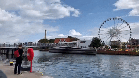 tonicove giphygifmaker gdansk GIF