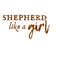 Sheep Shepherd Sticker by Brown Dog Farm Studio