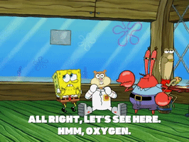 season 8 bubble troubles GIF by SpongeBob SquarePants