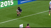 sport celebration GIF by World Rugby