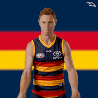 Afl Yes GIF by Adelaide Crows