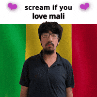 Mali Flag Ml GIF