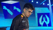 Esports Brazil GIF by BLAST